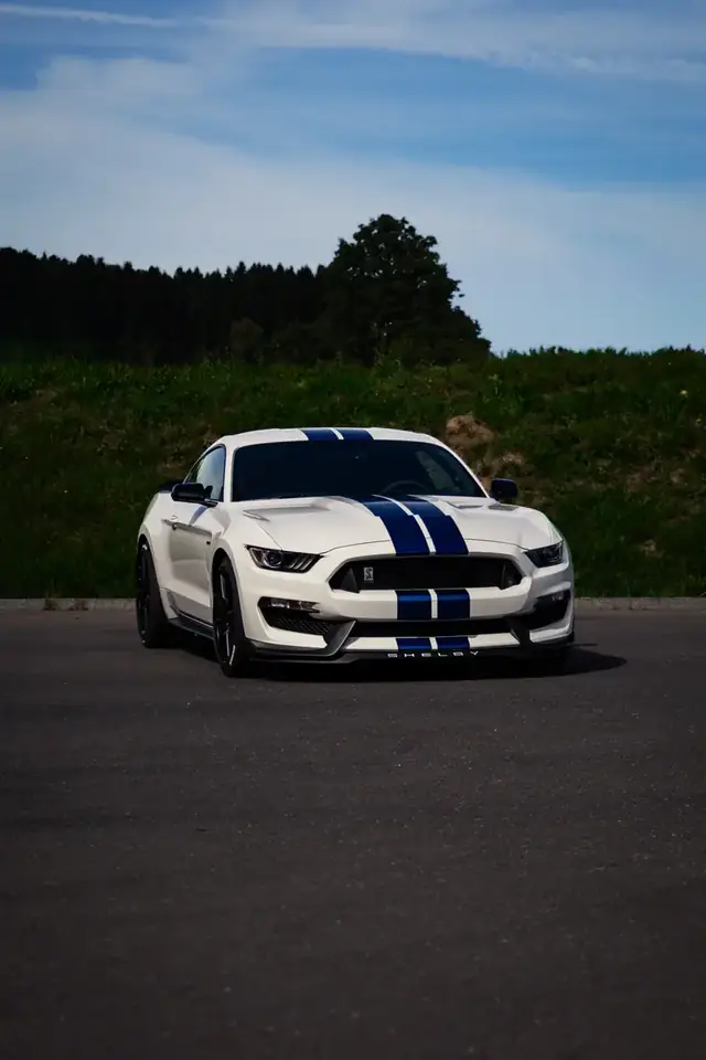 Weisser Ford Mustang Shelby mit blauen Rennstreifen