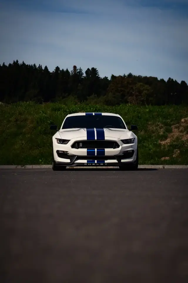 Ford Mustang Shelby frontal vor Wiese und Wald