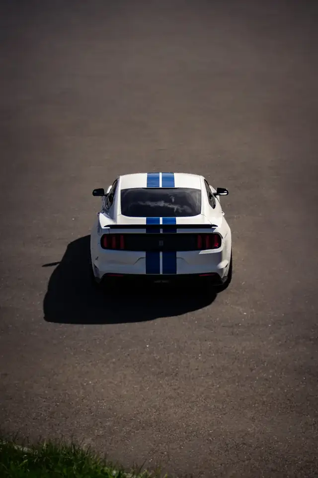 Ford Mustang Shelby von hinten mit Schatten
