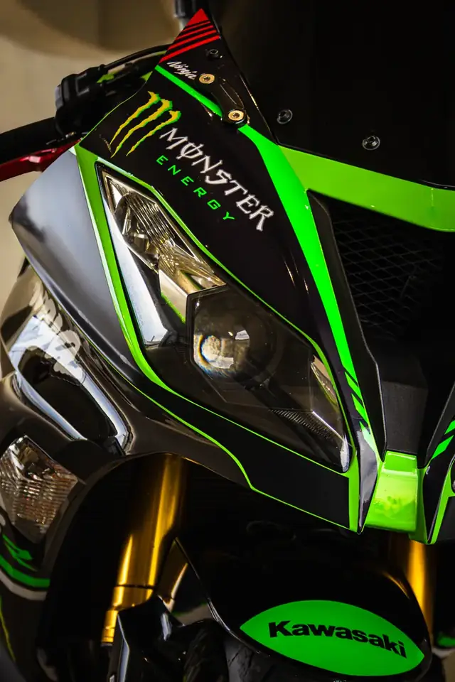 Detail: Kawasaki Verkleidung mit Monster-Design